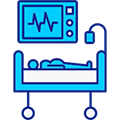 Nicu